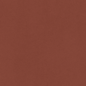 Cinnamon