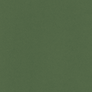 Fern