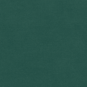 Forest - ES408