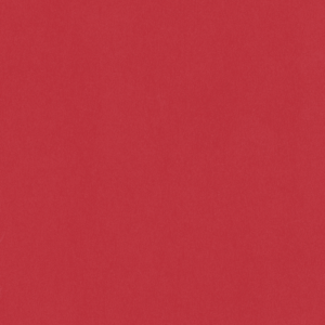 Salsa
