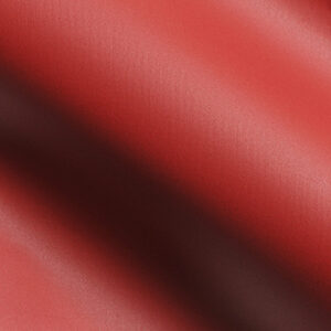 Scarlet - V670